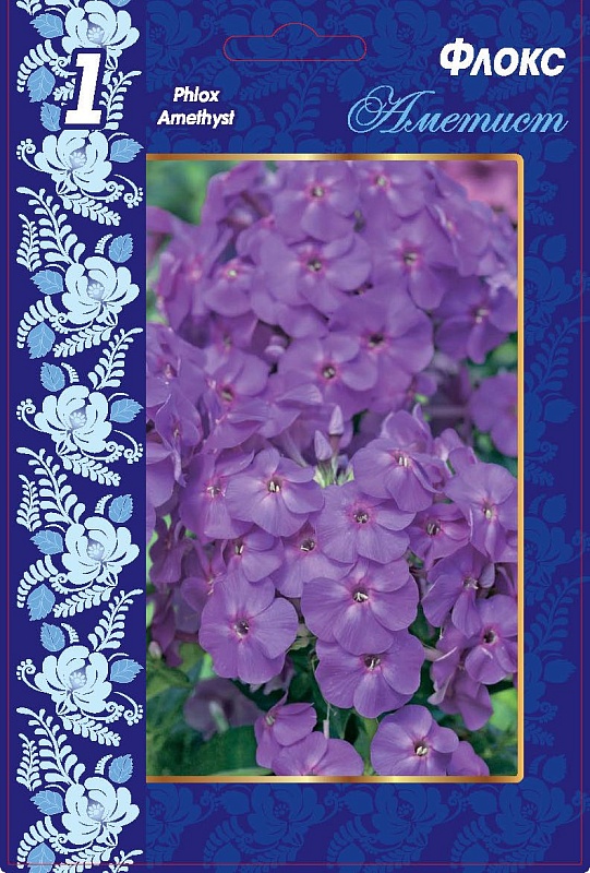 Флокс Аметист 1 шт.